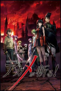 Akame Ga Kill! 24/24 + Especiales [Sin Censura] [Sub Español] [MEGA]