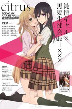 Citrus 12/12 [HDL] 190MB [Sub Español] [MEGA]