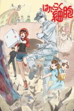 Hataraku Saibou (Cells at work) Sub Español [13-13] [MEGA] HD