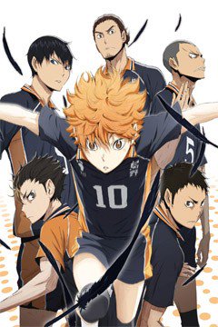 Haikyuu!! 25/25 + Ova [Sub Español] [HD-HDL] [MEGA]