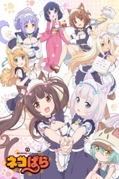 Nekopara (TV) 12/12 [Sub Español] [MG-MC]
