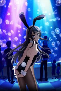 Seishun Buta Yarou wa Bunny Girl-senpai no Yume wo Minai 13/13 [HDL-HD-FullHD] [Sub-Español] [MEGA]