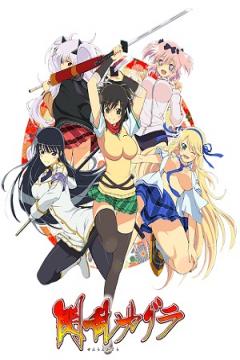 Senran Kagura 12/12 + Ova + Especiales (VL-HD-FullHD) [Sin Censura] [Sub Español] [MEGA]