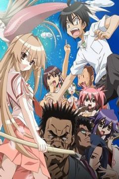 Seto no Hanayome 26/26 + Ovas [Sub Español] [MEGA]