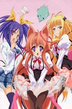 Tayutama -Kiss on my Deity- 12/12 + Especiales (HD + Ligero) [Sub Español] [MEGA]